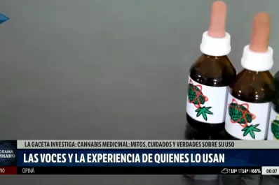 “El cannabis viene de la sociedad hacia la medicina”