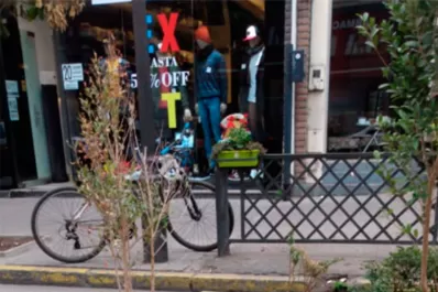 Repusieron 63 macetas en un mes en las semipeatonales