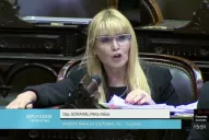 El patrimonio de la diputada Soraire creció un 200%, según declaró 