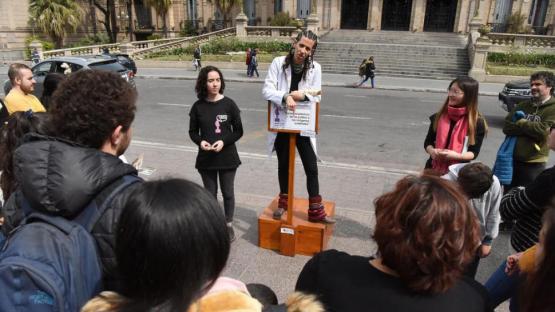 Una oruga capaz de alimentarse con plástico atrapó las miradas en la plaza
