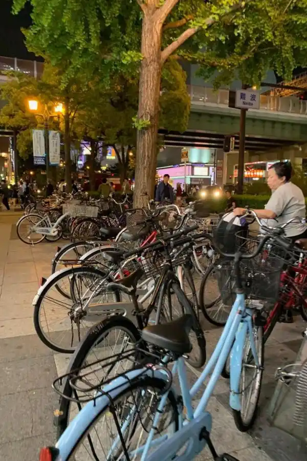 Rugby: 25 tips para viajar al Mundial de Japón