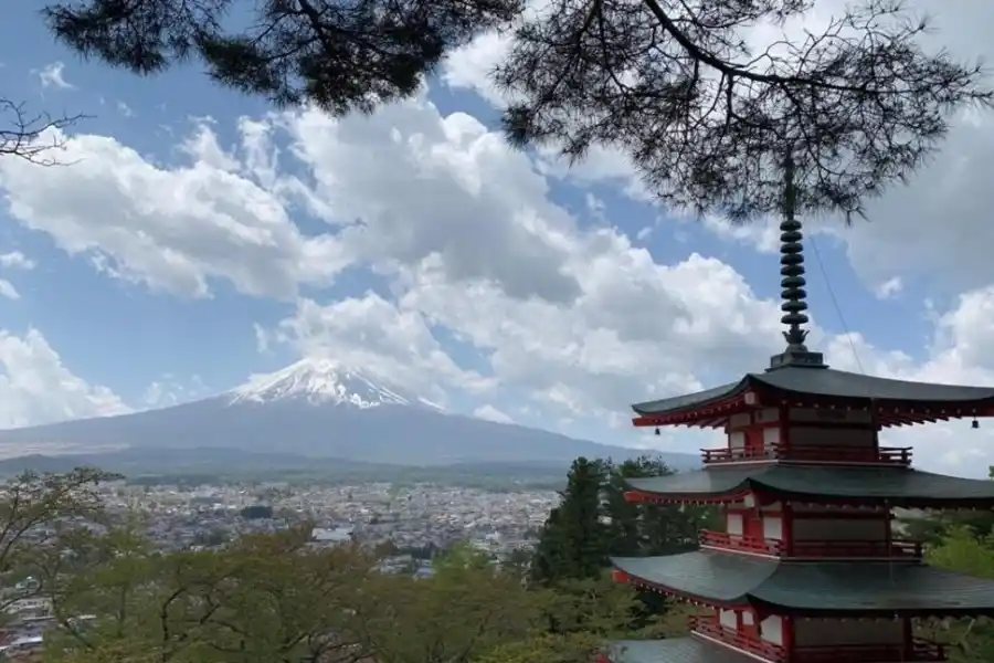 Rugby: 25 tips para viajar al Mundial de Japón