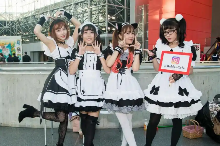 Rugby: 25 tips para viajar al Mundial de Japón