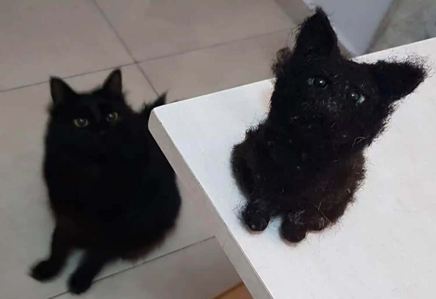 Yesul Yuilhan, la tucumana que hace peluches de tus mascotas