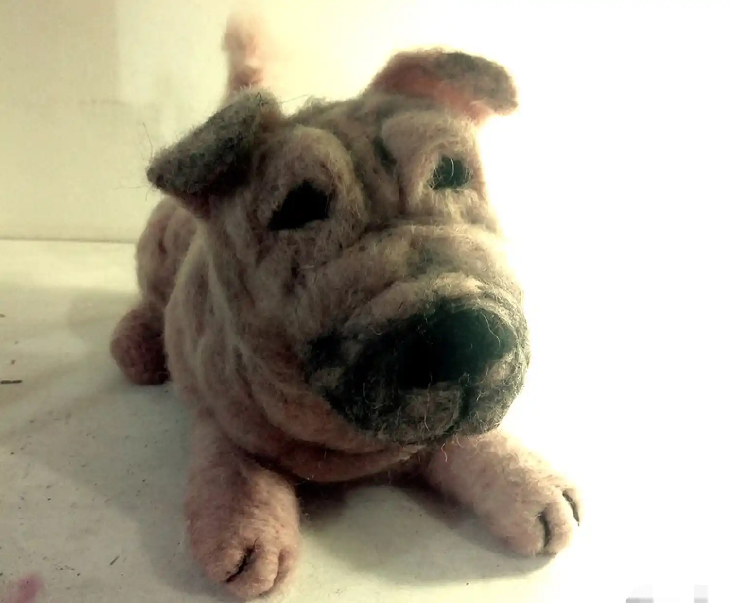 Yesul Yuilhan, la tucumana que hace peluches de tus mascotas