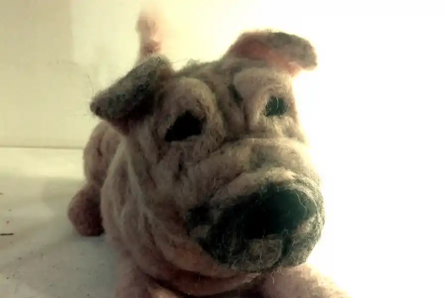 Yesul Yuilhan, la tucumana que hace peluches de tus mascotas