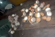 Fue detenido en Trancas por trasladar cocaína en una bolsa de papas de cerámica