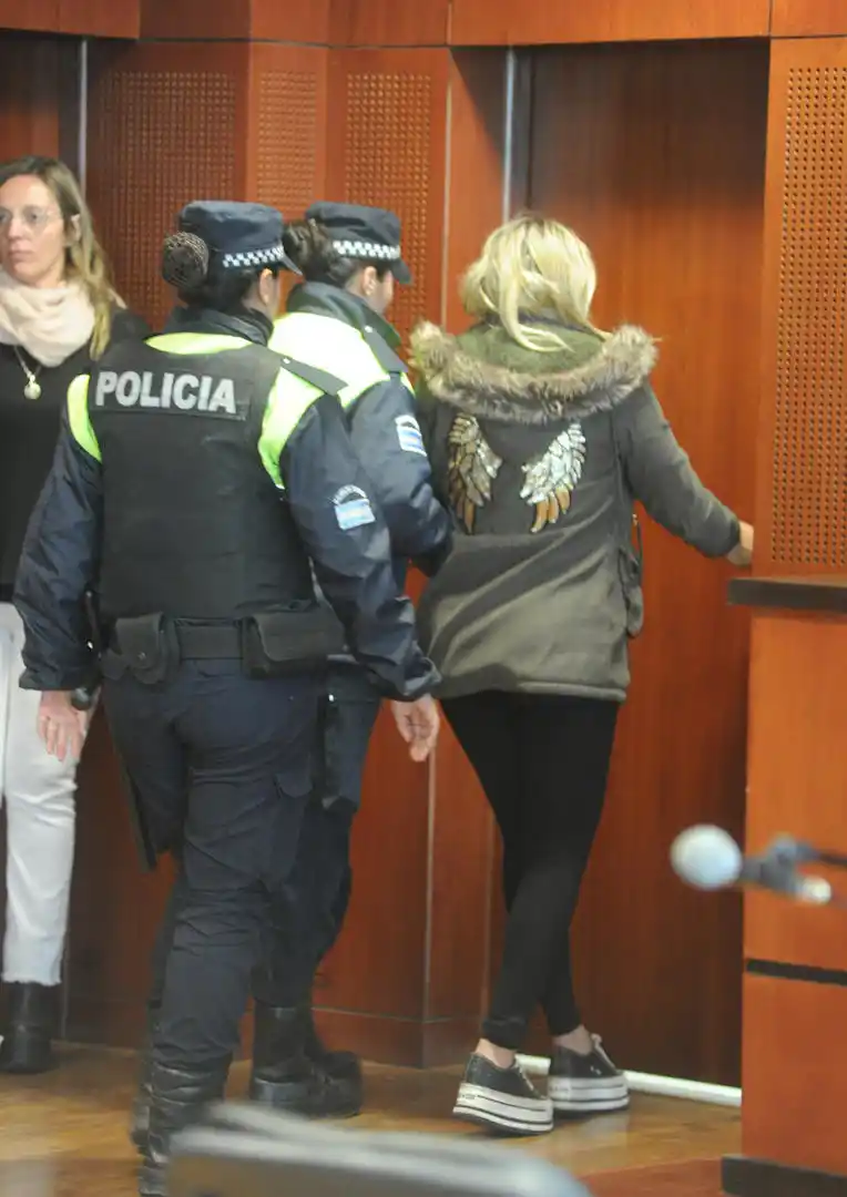 IMPUTADA. Pasarín lució un abrigo que tenía dibujos de alas. la gaceta / fotos de antonio ferroni