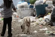 Crisis alimentaria: la asistencia social ahonda la grieta antes de las elecciones