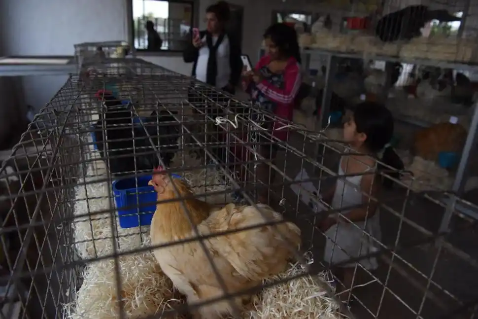  la gaceta / foto de antonio ferroni 