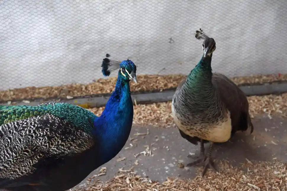  la gaceta / foto de antonio ferroni 