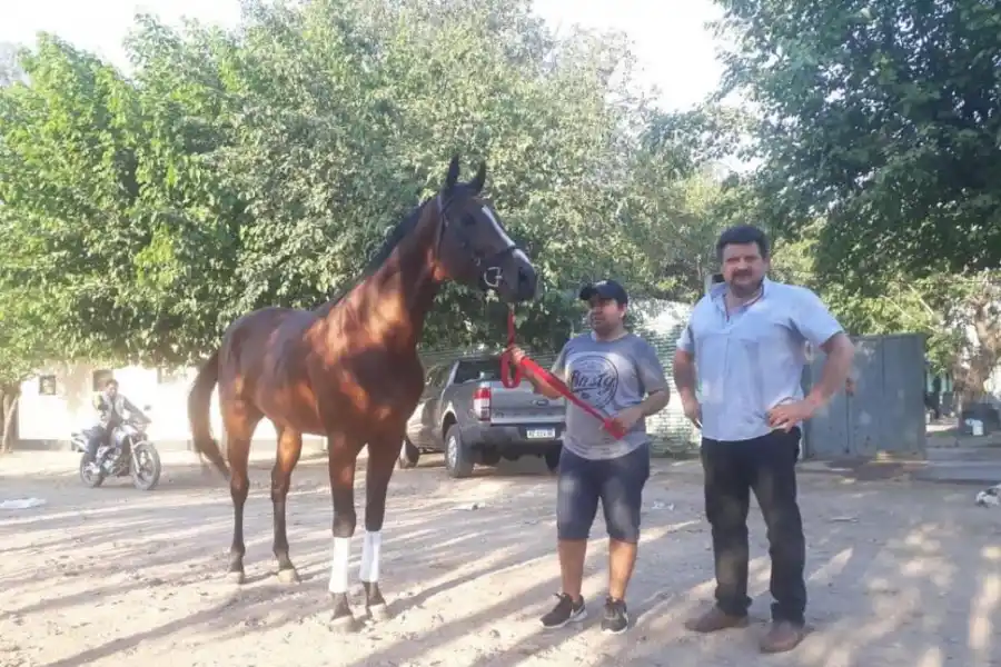 CARTA. In Your Honor, con el peón David Ortiz y el entrenador Sergio Carezzana.