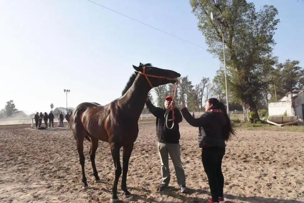 PREPARADO. El cuidador Enrique Vildoza y su hija Celena, junto a Le Doucent.