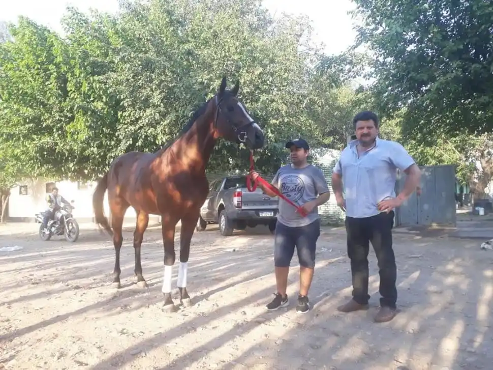 CARTA. In Your Honor, con el peón David Ortiz y el entrenador Sergio Carezzana.