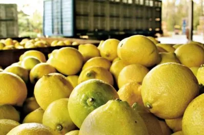 El limón tucumano llegó a la India
