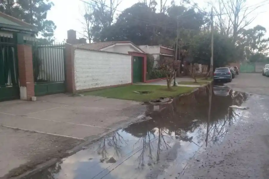 Peligrosos macetones para no videntes