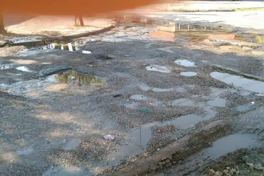 Peligrosos macetones para no videntes