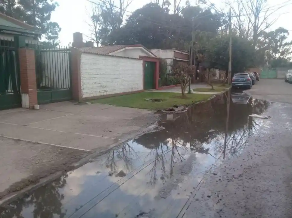 Peligrosos macetones para no videntes