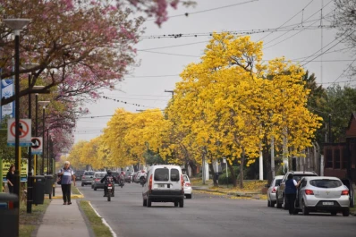 Primer foro en Tucumán: árboles, en el centro del debate