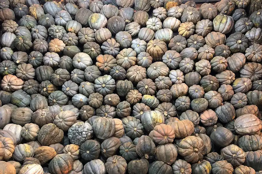 MONARCA SIN TRONO. El 