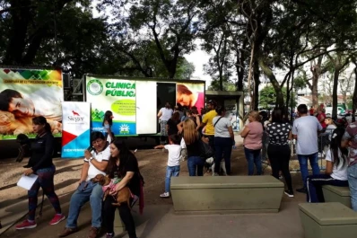 Servicios: castraron 84.000 mascotas en la capital