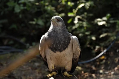 Silvestres: Reserva Experimental de Horco Molle