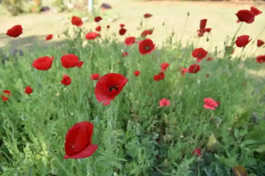  LA GACETA / FOTOS DE INéS QUINTEROS ORIO