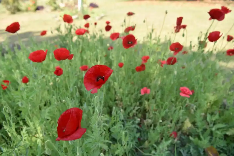  LA GACETA / FOTOS DE INéS QUINTEROS ORIO