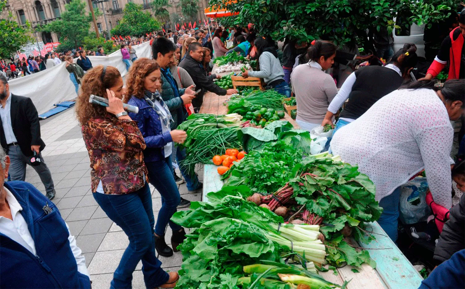 Se viene otro alimentazo: verduras a precios reducidos en la plaza Independencia
