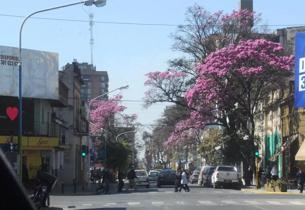 Adiós al intenso calor: descenso de temperatura y posibles lluvias en Tucumán