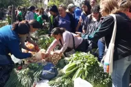 Los tucumanos se vuelcan al Alimentazo para comprar verduras a precios reducidos 