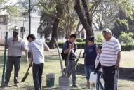 Desconocidos arrancaron más de 50 árboles recién plantados en el parque 9 de Julio