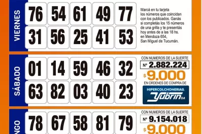 Controlá tu tarjeta: la grilla completa de los Números de Oro