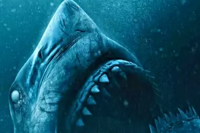 Estreno de cine: terror rodeados de tiburones