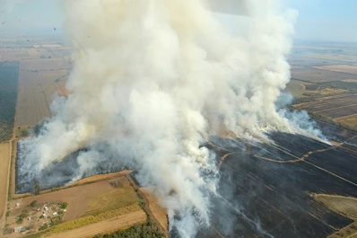 No hay caso: los incendios por la quema de cañaverales continúan en la provincia