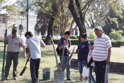 Desconocidos arrancaron más de 50 árboles recién plantados en el parque 9 de Julio