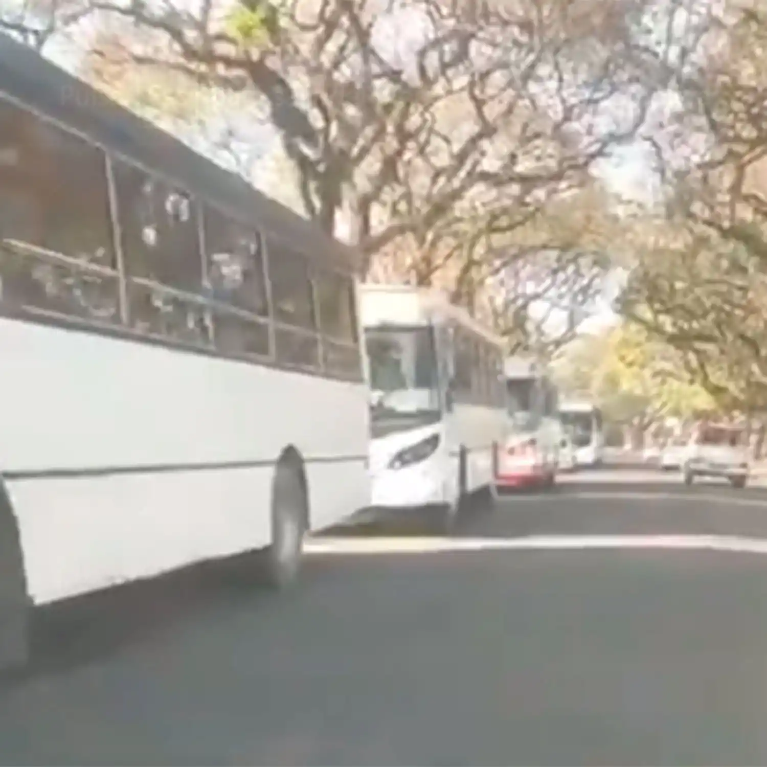 Más de 15 colectivos movilizaron a militantes macristas al acto en la plaza