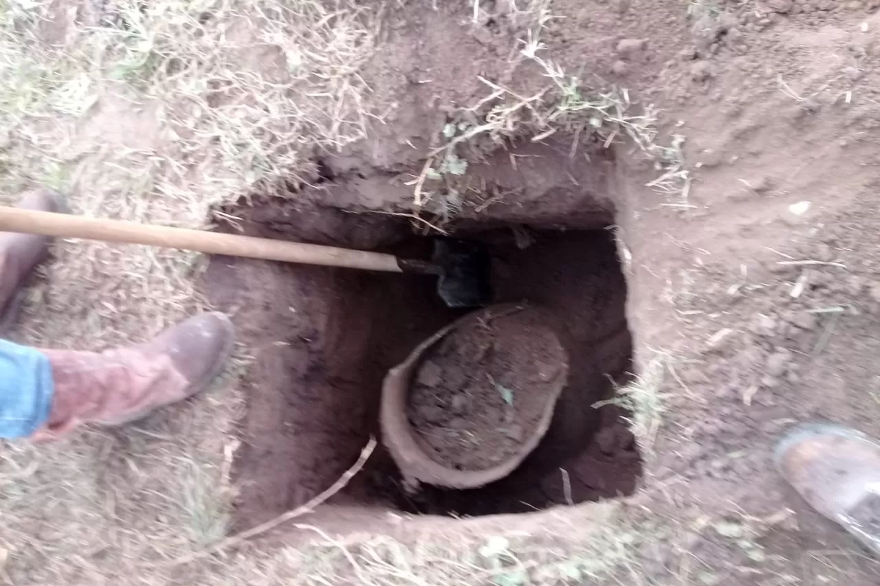 Excavaban para poner un poste y encontraron la urna.