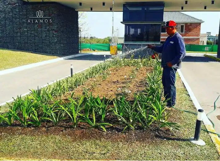En los countries y barrios privados, sobre todo de Yerba Buena, está la mayor demanda de jardineros.