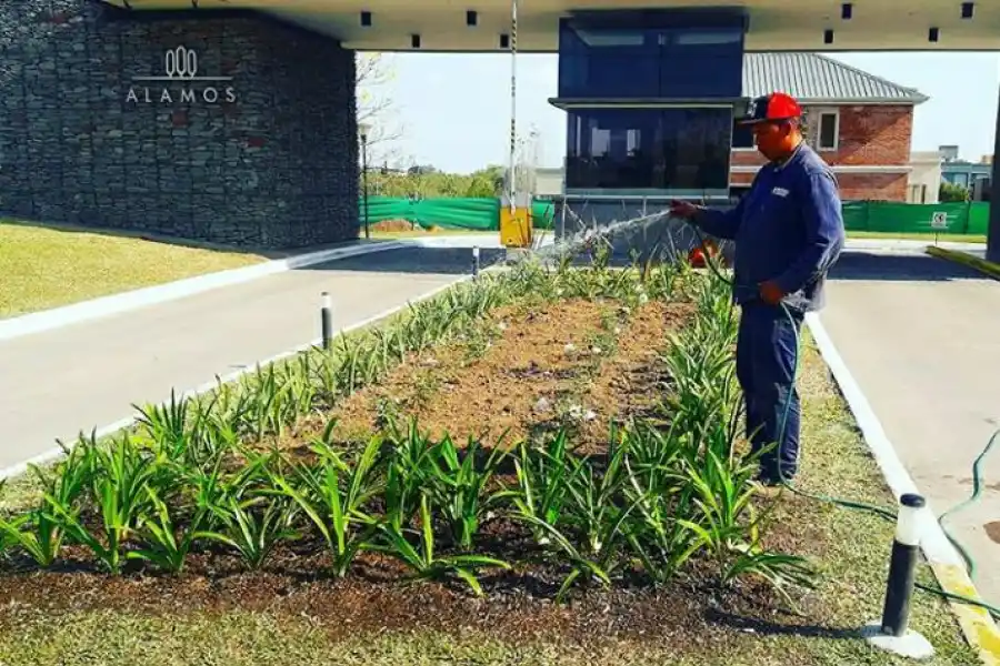 En los countries y barrios privados, sobre todo de Yerba Buena, está la mayor demanda de jardineros.