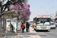 La Nación libera los subsidios atrasados para el transporte