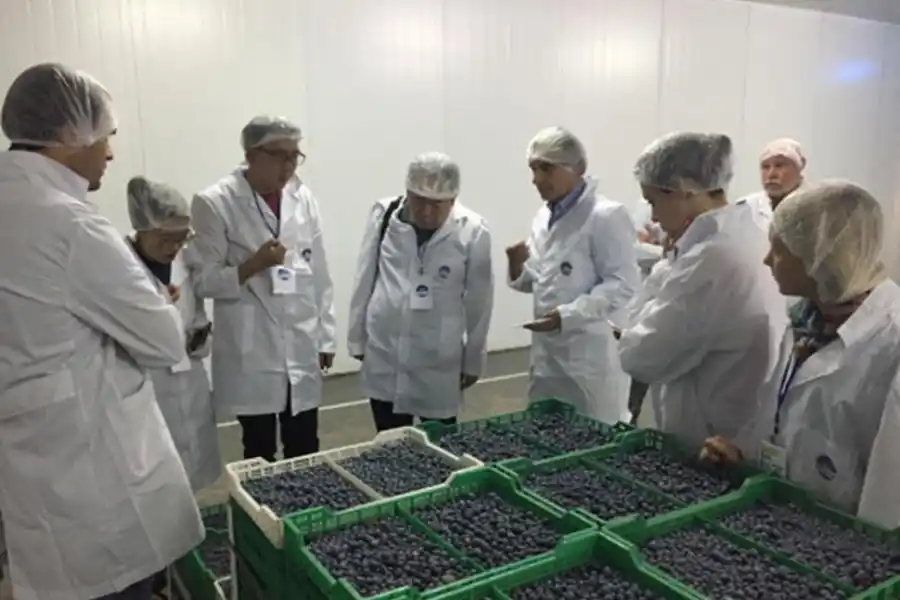 VISITA DE CHINOS. Empresarios extranjeros recorrieron varios empaques.  