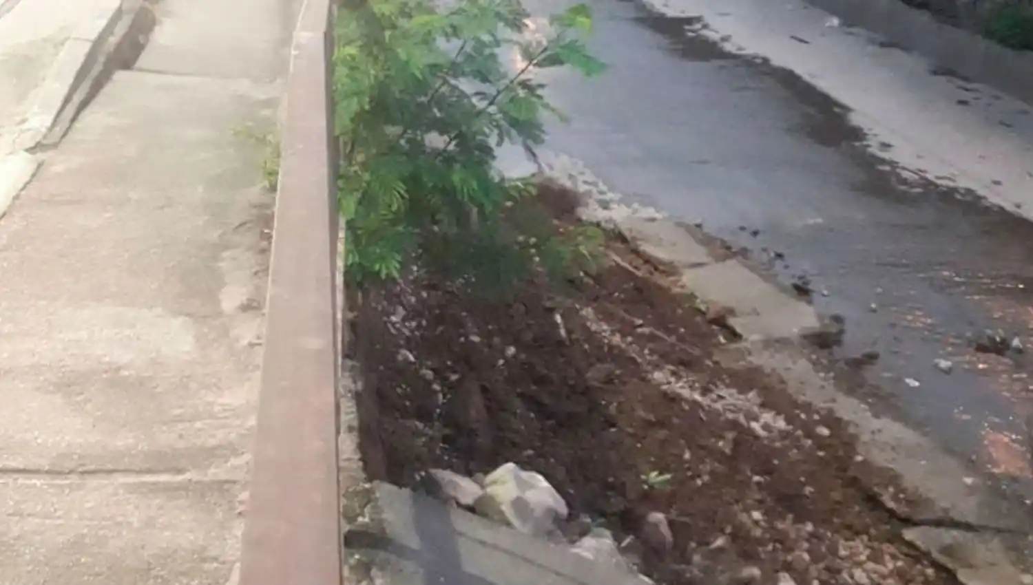 IMAGEN ENVIADA POR UN LECTOR