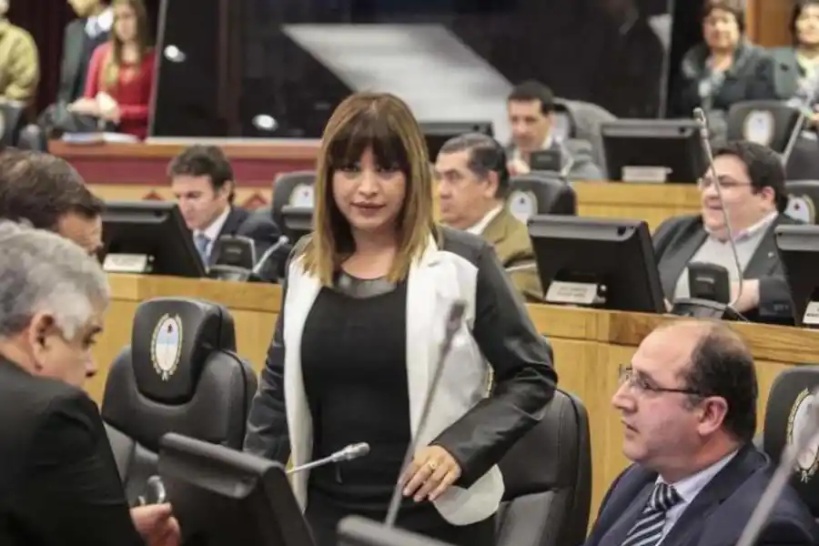 SARA ASSÁN. La legisladora acompañaría a Juri en la vicepresidencia primera del cuerpo.