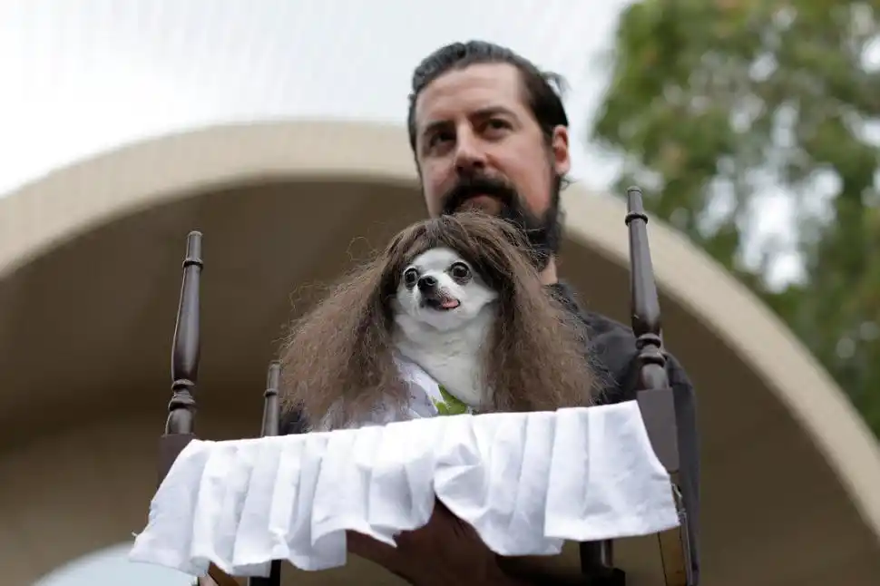  El Exorcista: Linda Blair canina. Esta recreación de la película de terror se llevó muchos aplausos. El dueño del perro se disfrazó de cura.