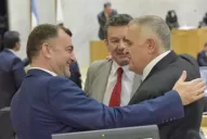 Se lanza la disputa por la “vice” en la oposición