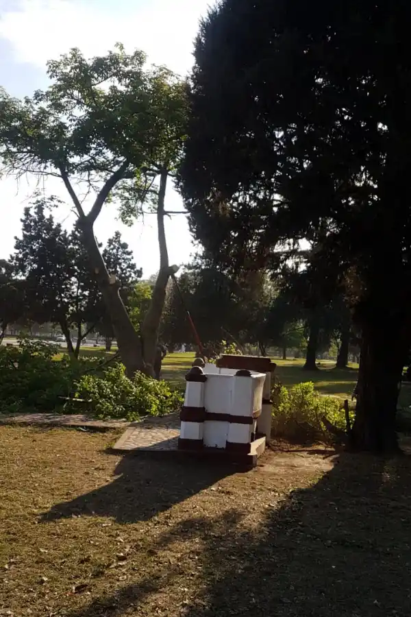 A 15 meses del robo, la estatua Meditación volvió a su lugar