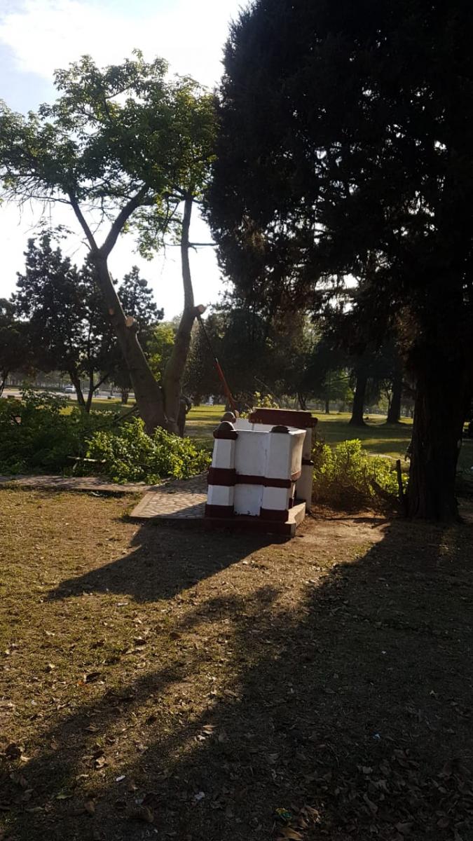 A 15 meses del robo, la estatua Meditación volvió a su lugar