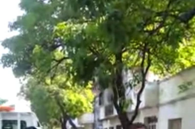 A las normas viales las viola hasta el hijo de un legislador