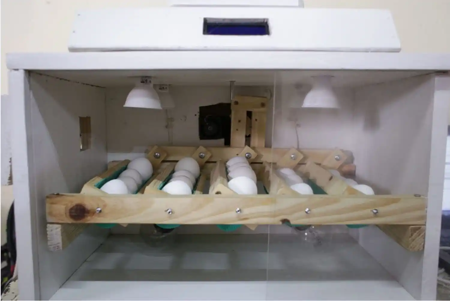 La incubadora de huevos automática con la que ganaron un premio. 